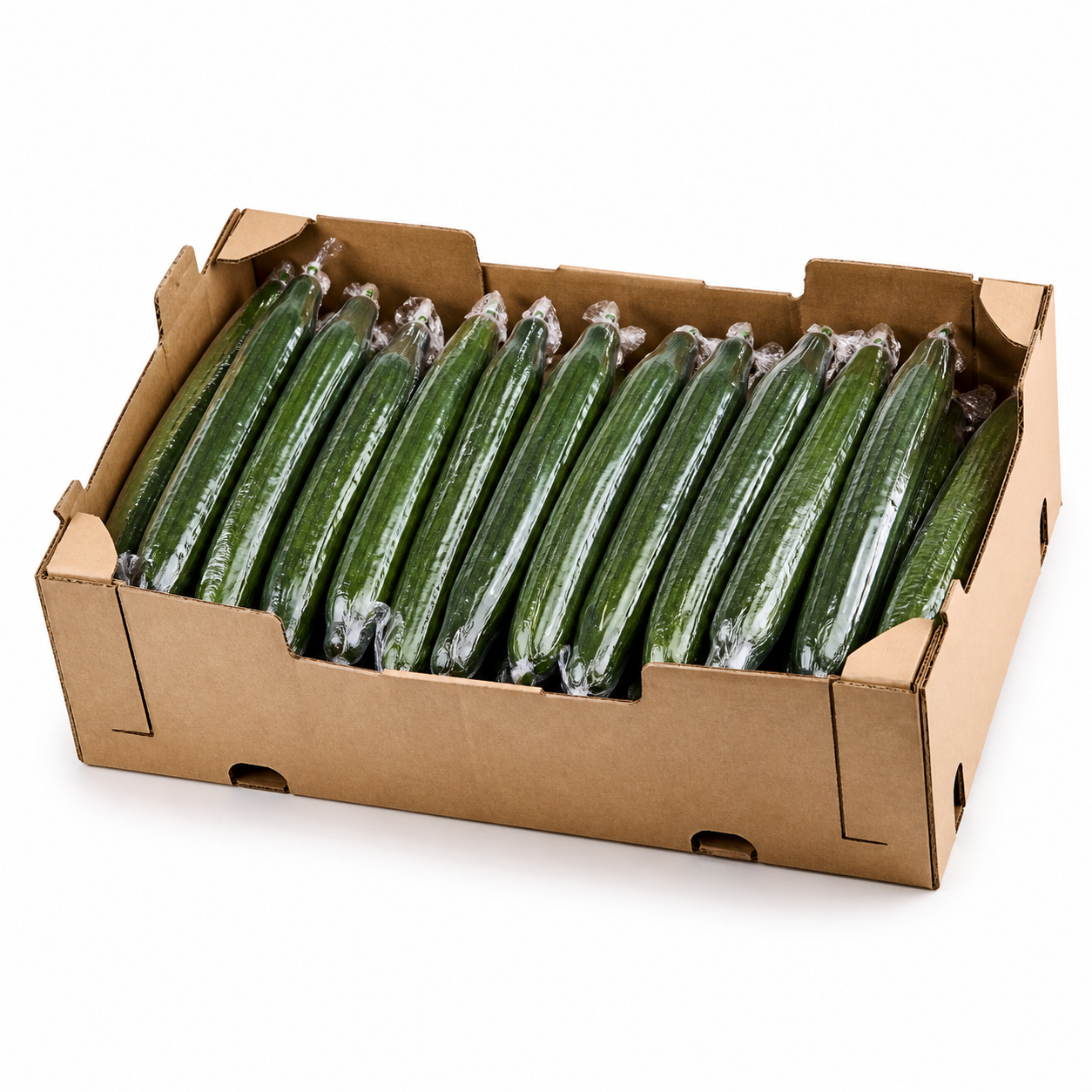 Gurka filmad – 10 kg / låda